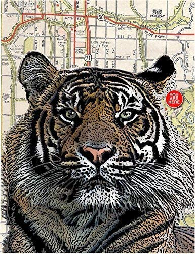 Kansas City Tiger - Sumatran Kansas City Zoo. Map Art. 8.5 inch x 11 inch Fine Art Print. Unmatted and Ready to Mat and Frame. Gallery Quality.