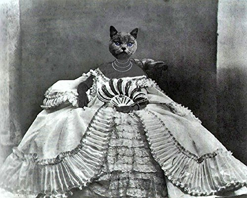 ROCOCO Russian Blue CAT WOMAN kitty lady portrait Victorian altered anthro art print