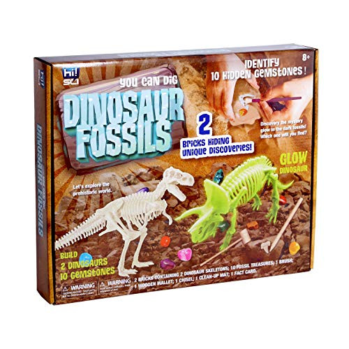 hiSCI Dinosaur Fossil Dig Kit-DIY Dinosaur Excavation Kit - Kids Science Education Dino Fossil Assembly Kit Best Boys and Girls STEM Dinosaur Toys Gift hiSCI Dinosaur Fossil Dig Kit-DIY Dinosaur Excavation Kit - Kids Science Education Dino Fossil Assembly Kit Best Boys and Girls STEM Dinosaur Toys Gift