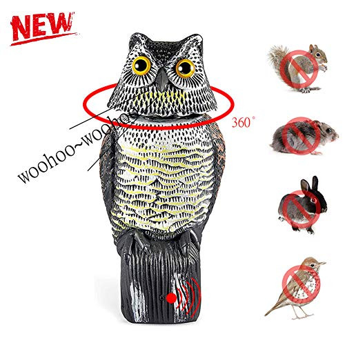 TeeBetter Fake Owl Decoy Statue with Rotating Head and Scary Sounds Realistic Garden Scarecrow to Scare Birds Away for Garden Yard Home Outdoor Decoration TeeBetter Fake Owl Decoy Statue with Rotating Head and Scary Sounds Realistic Garden Scarecrow to Scare Birds Away for Garden Yard Home Outdoor Decoration