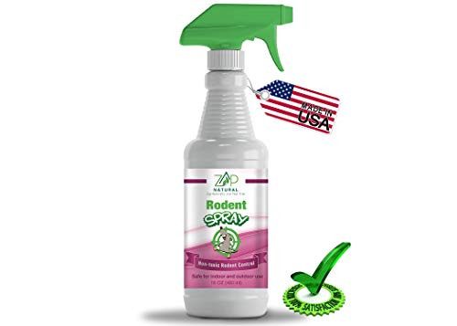 ZapNatural Rodent Control Spray 16 oz Natural Repellant Kills Rodents Ants Mosquitos Roaches and Spiders Child and Pet Safe Repeller Indoor Outdoor Use Non-Toxic and Odorless