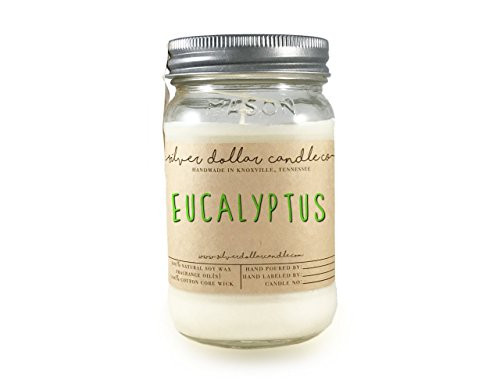 Eucalyptus Scented Candle 16oz Natural Soy Wax candle by Silver Dollar Candle Co.