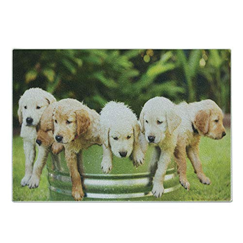 Lunarable Dog Lover Cutting Board Group of Golden Retriever Puppies in the Yard Spring Friendly Family Decorative Tempered Glass Cutting and Serving Board Large Size Green Beige