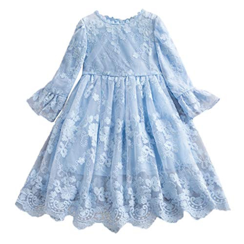 Baby Princess Dress Kids Girls Floral Princess Bridesmaid Pageant Gown Birthday Party Wedding Dress Blue Baby Princess Dress Kids Girls Floral Princess Bridesmaid Pageant Gown Birthday Party Wedding Dress Blue