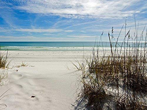 1000 Piece Wooden Jigsaw Puzzle Destin Sand and Beach Large Puzzle Game for Adults and Teenagers 1000 Piece Wooden Jigsaw Puzzle Destin Sand and Beach Large Puzzle Game for Adults and Teenagers