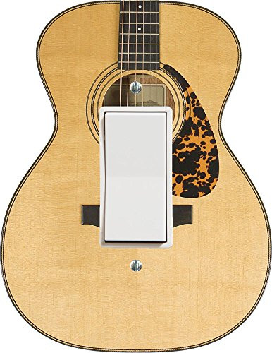 Music Treasures Co. Acoustic Guitar Decor Outlet Cover