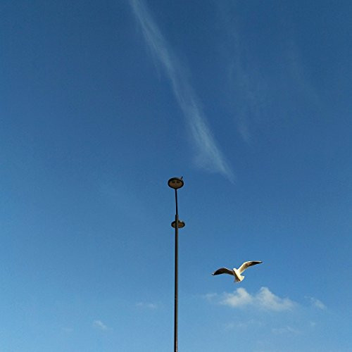 London Skyline Sky Print Sky Art Bird Print Bird Photography Bird Art Blue Print Blue Art Blue Artwork Minimalist Print Minimalism Art