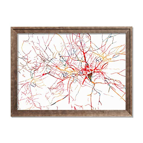 Neural Network Watercolor Poster Neurons Art Neurology Print Brain Cells Decor Anatomy Wall Decor Neuroscience Art Neurons Synapses Doctor Office Print