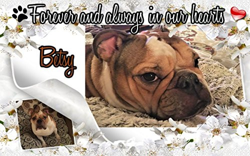 Personalized Pet Memorial Garden Plaque Stone Grave Marker And Sympathy Gift For Pet Loss Cat or Dog Indoor Or Outdoor