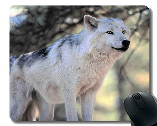 Gaming Mouse Pad CustomAnimal Forest Wolf White for Computer Non-Slip Rubber Mouse Pad