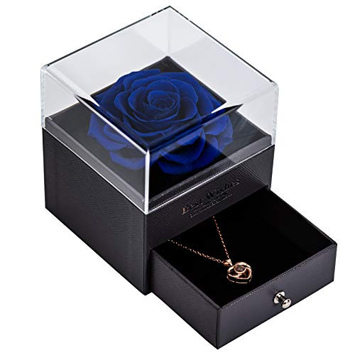 Preserved Real Rose Eternal Handmade Preserved Rose with Love You Necklace 100 Languages Gift Enchanted Real Rose Flower for Valentine s Day Anniversary Wedding Romantic Gifts for Her Preserved Real Rose Eternal Handmade Preserved Rose with Love You Necklace 100 Languages Gift Enchanted Real Rose Flower for Valentine s Day Anniversary Wedding Romantic Gifts for Her