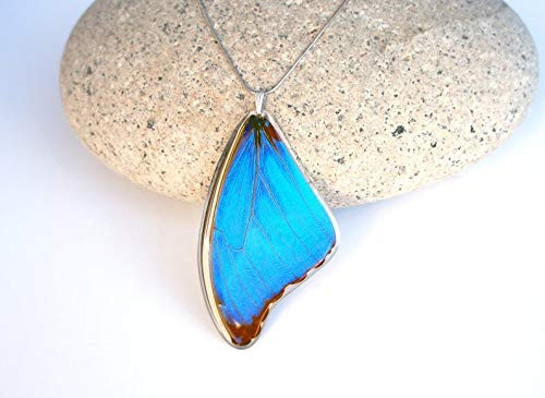 Recycled Butterfly Wing Necklace - Blue Morpho