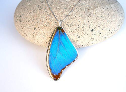 Recycled Butterfly Wing Necklace - Blue Morpho - Butterfly Gift Nature Theme Jewelry
