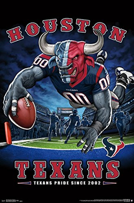 Trends International Wall Poster Houston Texans End Zone, 22.375" x 34"