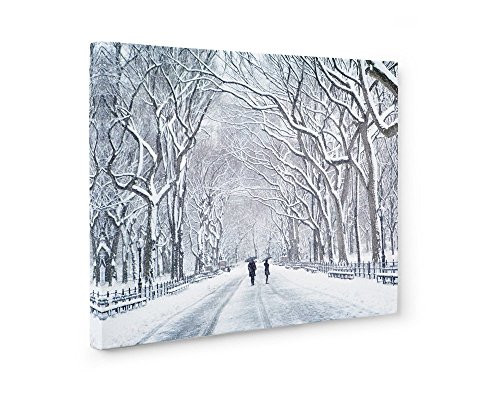 Large Format Print Canvas or Unframed New York City Wall Art Central Park in Snow NYC Decor The Mall in Winter Large Format Print Canvas or Unframed New York City Wall Art Central Park in Snow NYC Decor The Mall in Winter