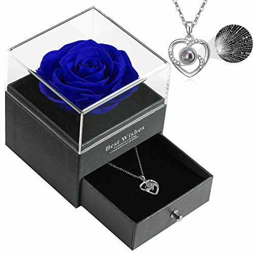 Preserved Real Rose Gift Box Enchanted Real Rose with I Love You Necklace 100 Languages Gift Eternal Rose Flower Handmade Preserved Rose Gift for Her S-Silver Blue Preserved Real Rose Gift Box Enchanted Real Rose with I Love You Necklace 100 Languages Gift Eternal Rose Flower Handmade Preserved Rose Gift for Her S-Silver Blue
