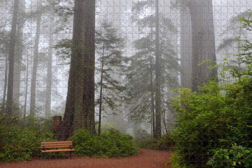 USA America Visalia Sequoia National Park Jigsaw Puzzle for Adults 1000 Piece Wooden Travel Gift Souvenir