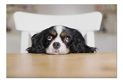 Lantern Press Cavalier King Charles Spaniel Puppy Dog Begging for Food 9022626  1000 Piece Premium Jigsaw Puzzle for Adults and Family 19x27
