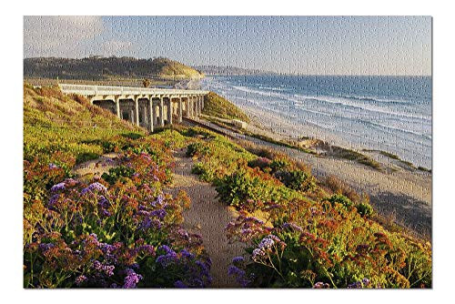 Lantern Press San Diego California - Coastal View of Torrey Pines State Beach 9024677  1000 Piece Premium Jigsaw Puzzle for Adults and Family 19x27