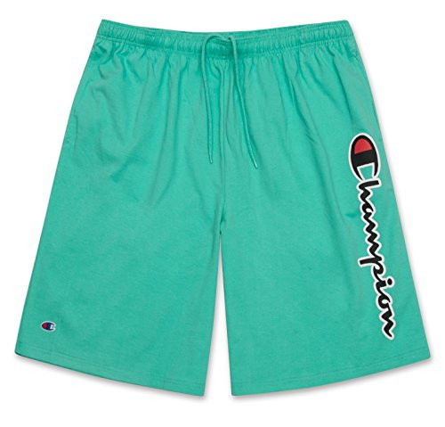 Champion Mens Big and Tall Lightweight Cotton Jersey Shorts with Script Logo Mint