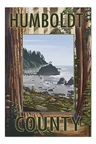 Humboldt County California - Redwoods - Beach Inset 83732  19x27 Premium 1000 Piece Jigsaw Puzzle for Adults Made in USA