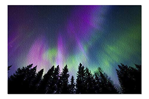 Lantern Press Colorful Northern Lights Illuminate The Forest 9026902  1000 Piece Premium Jigsaw Puzzle for Adults and Family 19x27