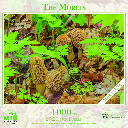 The Morels - 1000 Piece MI Puzzles Jigsaw Puzzle