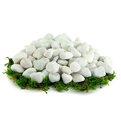 Southwest Boulder  and  Stone Porcelain White Pebbles   20 lbs   Natural Rocks White Stones for Potted Plants Gardening Succulents Aquariums Terrariums and More  3 8 Inch - 5 8 Inch