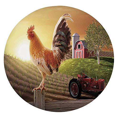 Stain Resistant Elastic Edged Table coverFarm Barn Yard Image Kitchenware and Home Decor Rooster Early Bird Natural Sunrise Table clothFits Round Tables 45-48 inchfor Dining Room Kitchen Party Light Br