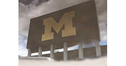 Michigan Wolverines 11x14 Photograph Print- Grad University of Michigan Michigan Wolverines NCAA