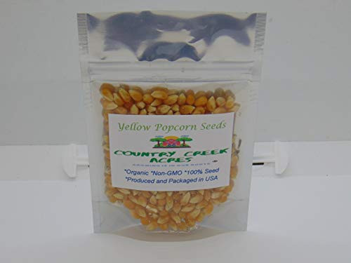 Yellow Popcorn Seed for Growing Heirloom OP Open Pollinated Non-GMO Garden Seed 25 Seeds by Country Creek Acres Yellow Popcorn Seed for Growing Heirloom OP Open Pollinated Non-GMO Garden Seed 25 Seeds by Country Creek Acres