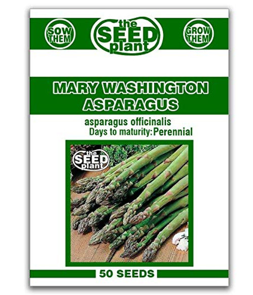 Mary Washington Asparagus Seeds - 50 Seeds Non-GMO