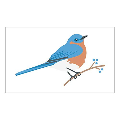 CNW Studio Eastern Bluebird Decal Vinyl Bumper Sticker 5 inch