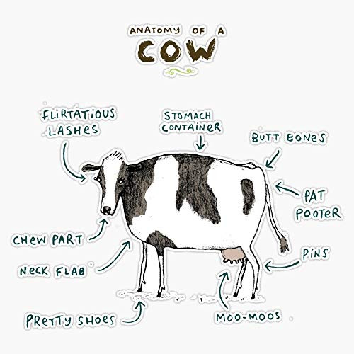 EMC Graphics Anatomy of A Cow Vinyl Waterproof Sticker Decal Car Laptop Wall Window Bumper Sticker 5 inch