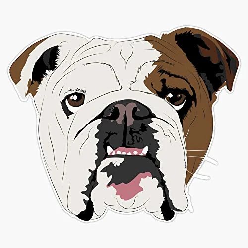 Squishy Dogs - English Bulldog Vinyl Waterproof Sticker Decal Car Laptop Wall Window Bumper Sticker 5 inch