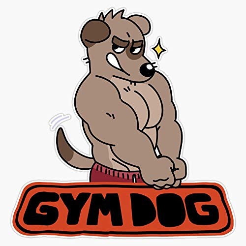 Gym Dog Vinyl Waterproof Sticker Decal Car Laptop Wall Window Bumper Sticker 5 inch