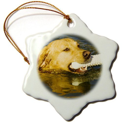 3dRose ORN_140300_1 Purebred Yellow Labrador Dog with Dummy Na02 Pwo0045 Piperanne Worcester Snowflake Ornament, Porcelain, 3-Inch 3dRose ORN_140300_1 Purebred Yellow Labrador Dog with Dummy Na02 Pwo0045 Piperanne Worcester Snowflake Ornament, Porcelain, 3-Inch