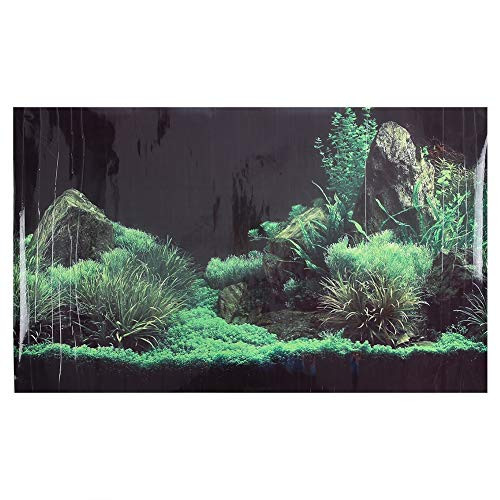 GLOGLOW Aquarium Background Sticker Coral Stone Landscape Image PVC Sticker Singel-Sided Adhesive Wallpaper Background Poster Aquarium Wall Decorations 76x46cm