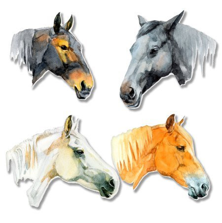 AK Wall Art Horses Set of 4 Vinyl Sticker - Car Phone Helmet - Select Size