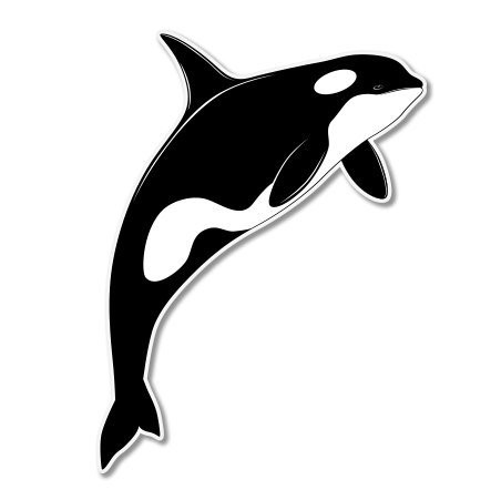 AK Wall Art Orca Whale Vinyl Sticker - Car Phone Helmet - Select Size