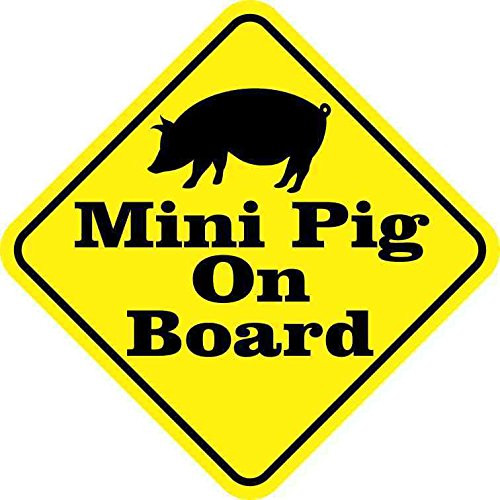StickerTalk Mini Pig on Board Vinyl Sticker 5 inches by 5 inches