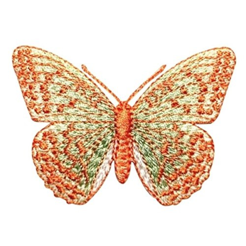 ID 2087 Pretty Butterfly Patch Garden Bug Fairy Fly Embroidered Iron On Applique