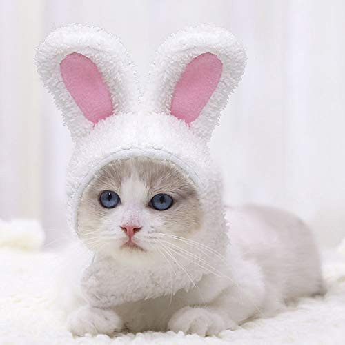 Panow Plush Bunny Ears Pet Headband Rabbit Ear Hat for Cat Small Dogs Costume Cosplay Dress Cap Costume Accessory Headwear