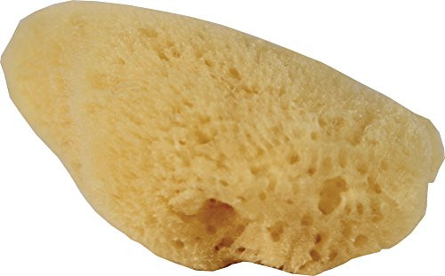Flukers 012197 Hermit Headquarters Hermit Crab Natural Sea Sponge