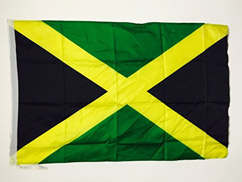 AZ FLAG Jamaica Flag 2 x 3 for a Pole - Jamaican Flags 90 x 60 cm - Banner 2x3 ft with Hole Light Polyester