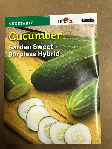 Burpee 50809 Cucumber Garden Sweet Burpless Hybrid Seed Packet