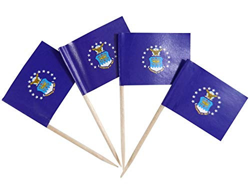 JBCD 200 Pcs US Air Force Flags Toothpicks Army Force Flag Cupcake Toppers Decorations Cocktail Toothpick Flag Cake Topper Picks Mini Small Flag Cupcake Pick Sticks