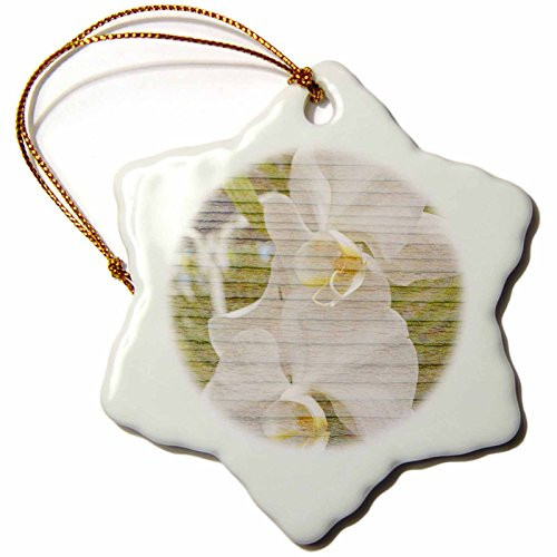 3dRose orn_29459_1 White and Yellow Orchid Flowers Tropical Flowers Flower Photography Snowflake Porcelain Ornament, 3-Inch