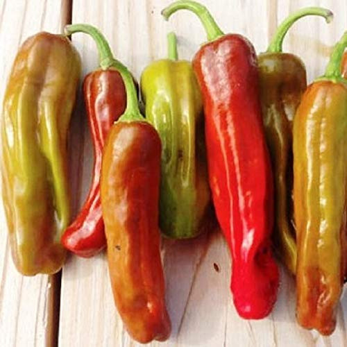 Davids Garden Seeds Pepper Specialty Pepperoncini Sweet Greek Golden 0899 Gold 25 Non-GMO Open Pollinated Seeds Davids Garden Seeds Pepper Specialty Pepperoncini Sweet Greek Golden 0899 Gold 25 Non-GMO Open Pollinated Seeds