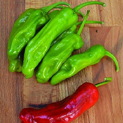 Davids Garden Seeds Pepper Specialty Pepperoncini Sweet Italian 6833 Green 25 Non-GMO Heirloom Seeds Davids Garden Seeds Pepper Specialty Pepperoncini Sweet Italian 6833 Green 25 Non-GMO Heirloom Seeds